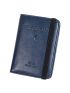 Airplane & Letter Graphic Passport Case