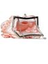 Flower Decor Kiss Lock Chain Evening Bag