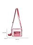 Mini Clear Square Bag With Coin Purse