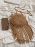 Mini Fringe Decor Straw Bag