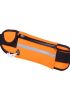 Earphone Detail Sports Running Waist Bag