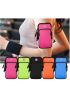 Multi-Function Black Polyester Zipper Sports Arm Bag For Running